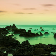 PAKE SALMON - CALENDÁRIO HAWAIIAN FINE ART 2024