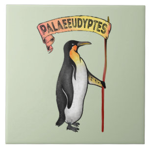 Palaeeudyptes Extinct Penguin