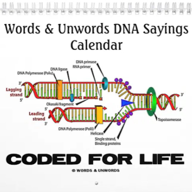 Palavras e Senhas DNA Sayings 2016 Calendário (Calendar featuring funny DNA/genetics sayings for anyone into wry molecular biology attitude!)