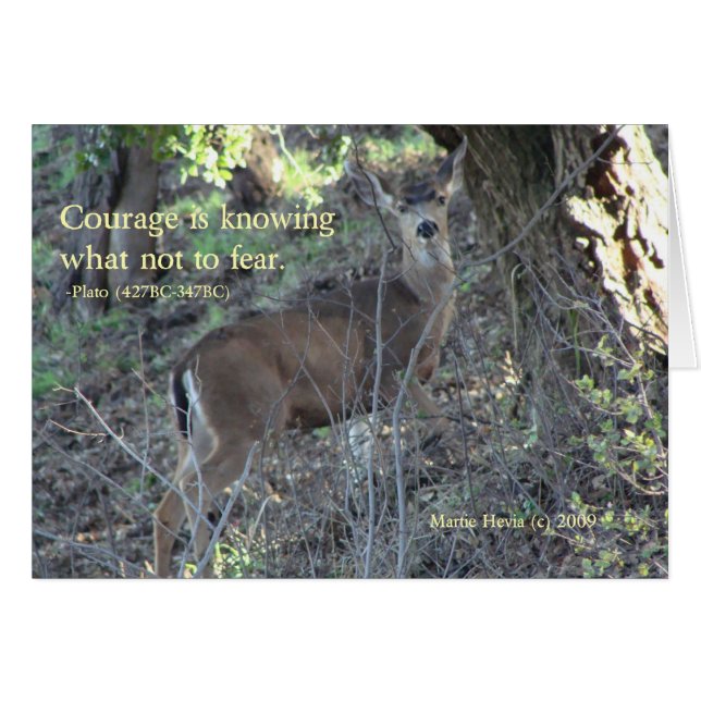Palavras Famosas: Coragem - Cartão de Saudação de  (Frente Horizontal)