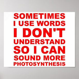 Palavras Inteligentes Poster Engraçado