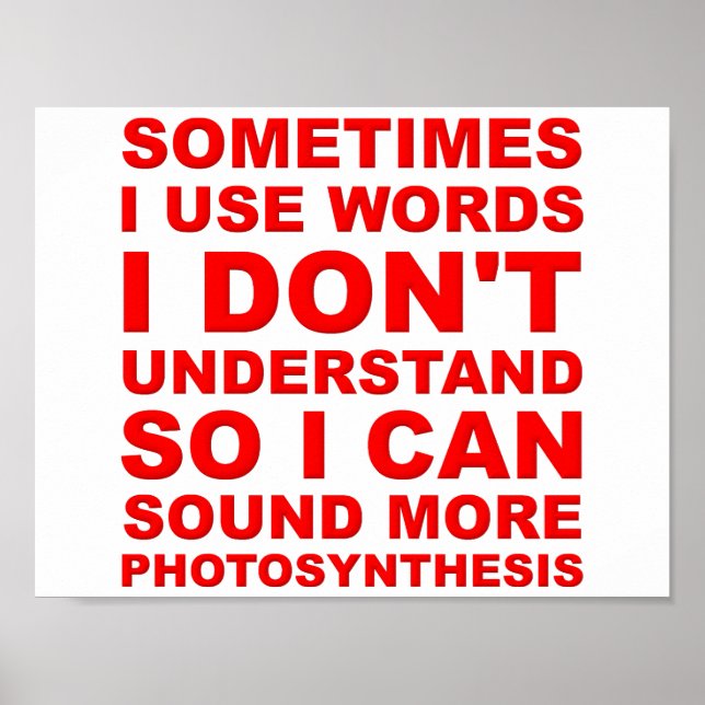 Palavras Inteligentes Poster Engraçado (Frente)