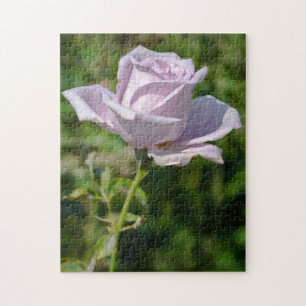 Pale Lilac Tea Rosa Jigsee Quebra-cabeça