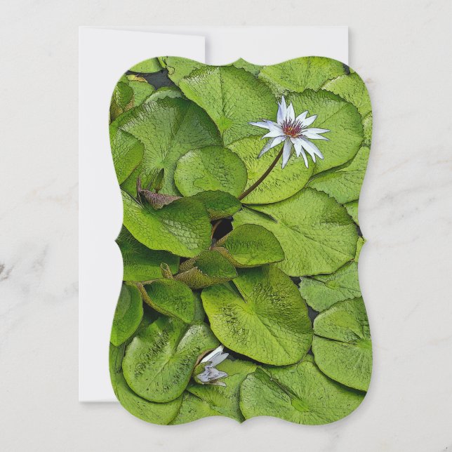 PALE=LOTUS BLOSSOM DE LAVANDA E LILY PADS (Frente)