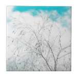 Pale Pastel Leve Blue Turquoise Tree Brunes Sky<br><div class="desc">Azulejos decorativos cerâmicos para Azulejos de árvore azul-turquesa clara de Pastel pálida Brunches azul-turquesa Brunches Sky para adicionar à sua coleção. Um presente de excelente / ideia presente para todos aqueles que amam vibrações positivas felizes,  itens personalizados de design personalizados,  natureza,  tema orgânico,  cores suaves etc.</div>