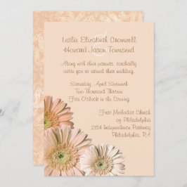 Pale Peach Gerber Daisy Convite Personalizado