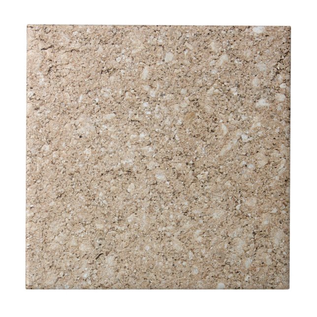Pale Peachy Beige Cement Sidewalk (Frente)