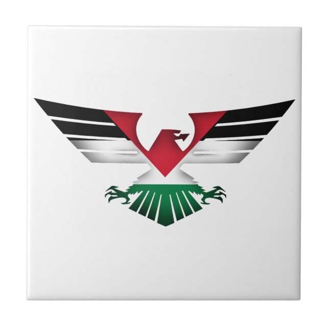 PALESTINA LIVRE - ASAS DE LIBERDADE (Frente)