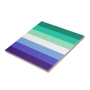 Paleta da bandeira de homens gays trans-inclusivos