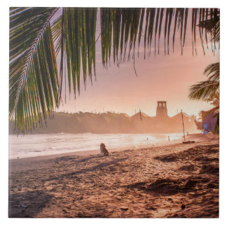 Palm de praia Calm Sunset