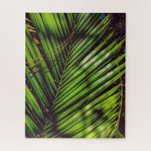 Palm Frond, Pine Agulha e Shadows Quebra-cabeça