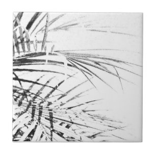 Palm Tree deixa um esboço de minimalismo