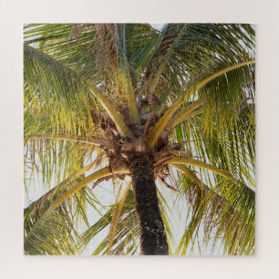 Palm Tree Jigsera Quebra-cabeça