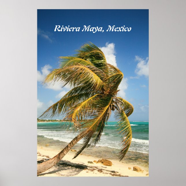 Palm Tree on the Riviera Maya, Poster do México (Frente)