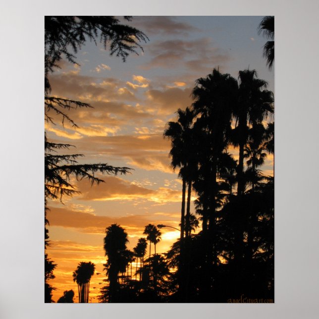 Palm Tree Sunset Los Angeles Poster (Frente)