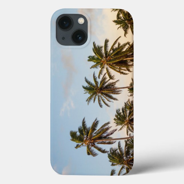 palm trees (Verso)