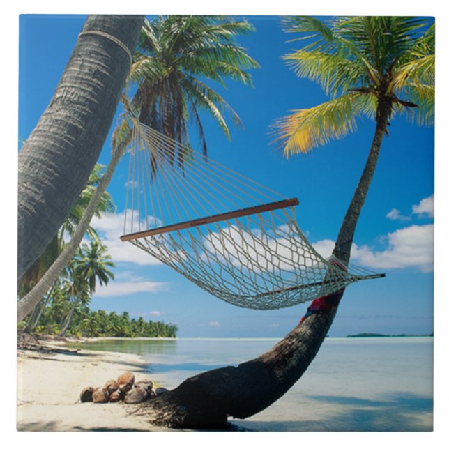 Palm Trees com Hammock, cena tropical, (Frente)