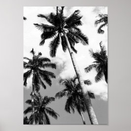 Palm trees poster