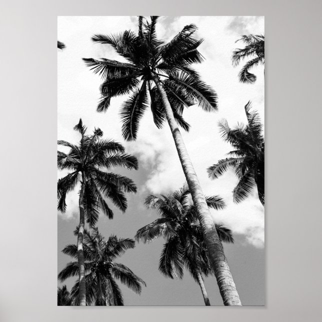 Palm trees poster (Frente)
