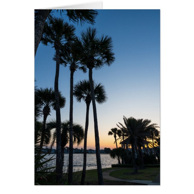 Palm Trees Sunrise Destin Flórida Cartão Saudável (Frente)