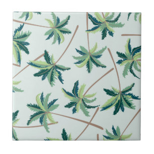 Palma australiana tropical do Foxtail
