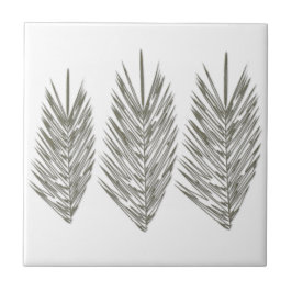 Palma branca preta deixa desenho