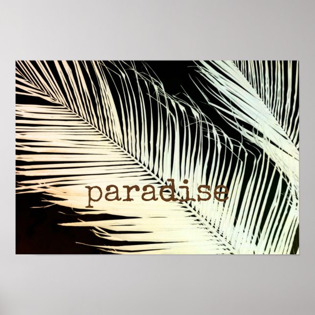 palma tropical poster texto sobre a sepia da foto- (Frente)