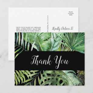 Palma tropical selvagem   Cartão postal Black Obri