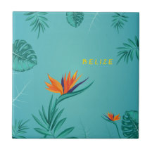 Palma Verde Azul Tropical Palm Monograma Belize