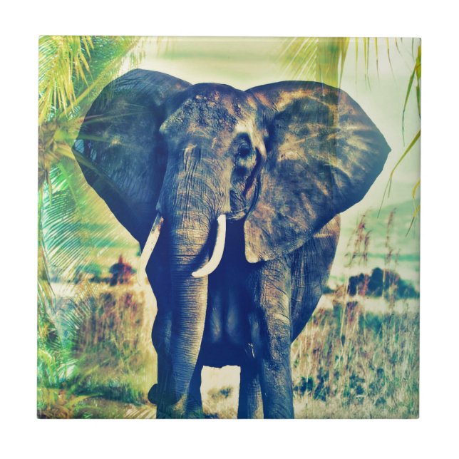 Palmas de elefante (Frente)