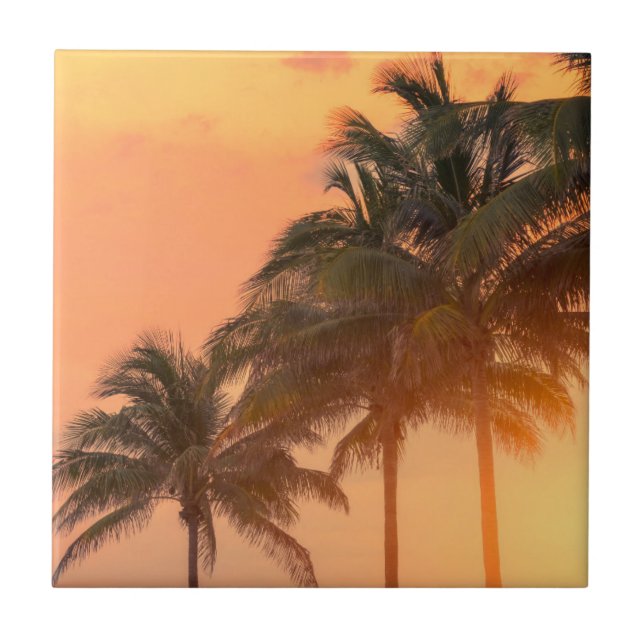 Palmas de Miami (Frente)