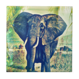 Palmas do Elefante