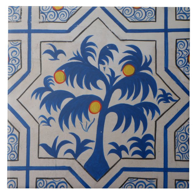 Palmeira Azul Mediterrânea (Frente)