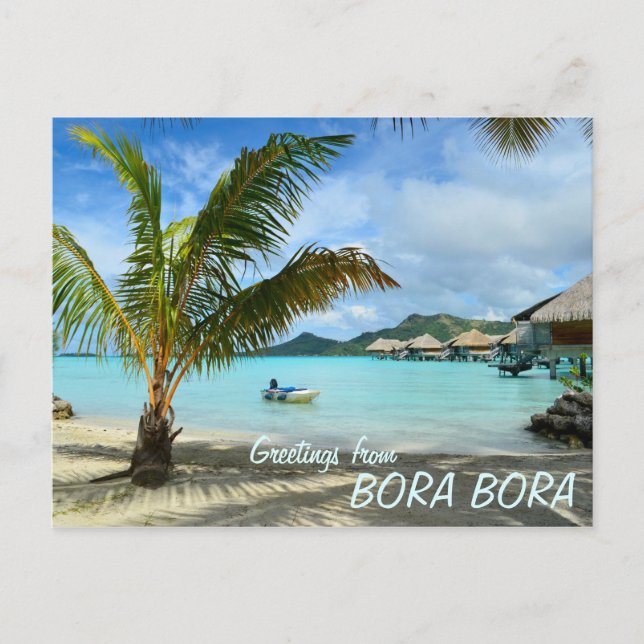 Palmeira e cartão postal de resort (Frente)