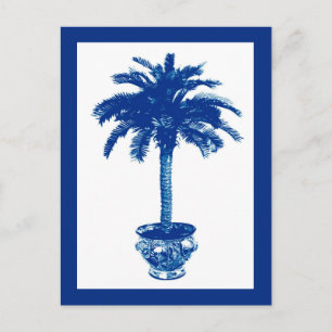 Palmeira em vaso, cartão postal azul marinho e bra
