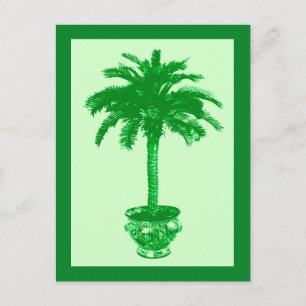 Palmeira Em Vaso, Cartão Postal Verde Esmeralda e 