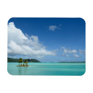 Palmeira no ímã retangular da lagoa de Bora Bora