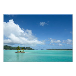 Palmeira no impressão da foto da lagoa de Bora