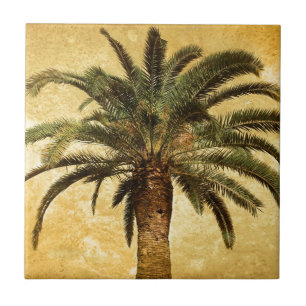 Palmeira tropical do vintage