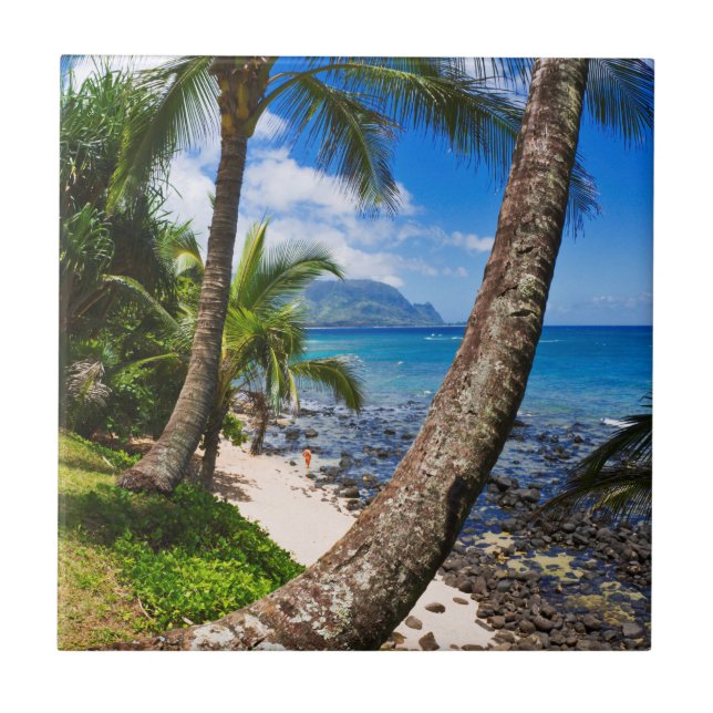 Palmeiras ao longo da praia de Hideaways (Frente)