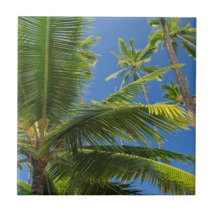 Palmeiras de coco, Pu'uhonua o Honaunau 1