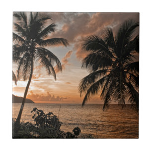 Palmeiras de praia tropical sunset