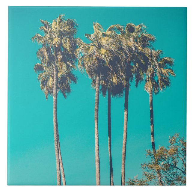 Palmeiras tropicais Árvores da Califórnia Retro Vi (Frente)
