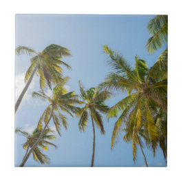Palmeiras Tropicais, Praia e Estilo de Férias