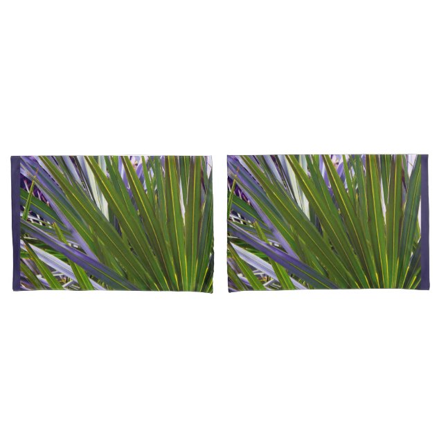 Palmetto Tropicale (Frente - conjunto)