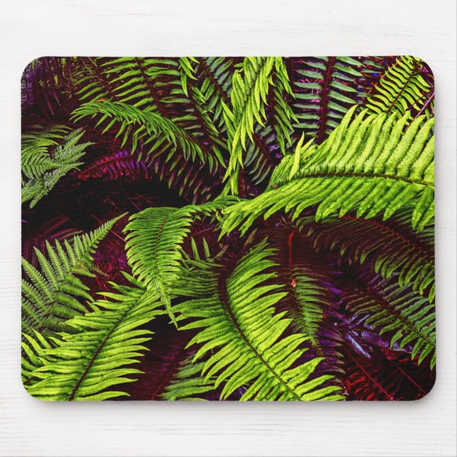 Palms 2 Mousepad (Frente)