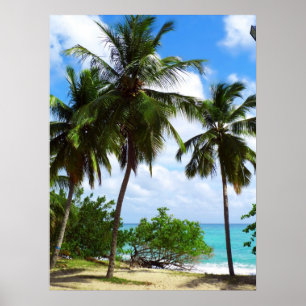 Palmtrees no poster tropical do Seascape