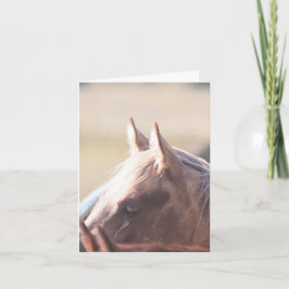 Palomino Dourado - Cartão 4" x 5.6"