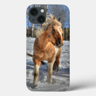Palomino Pinto Cavalo e Neve Joyful