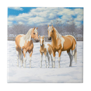 Palomino Pinto Pintar Cavalos Quarto Na Neve